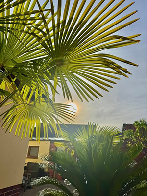 November-Wetter in Erfurt-Mittelhausen November-Wetter in Erfurt-Mittelhausen